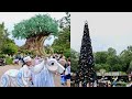 Disney's Animal Kingdom 2023 Merry Menagerie &amp; Holiday Decorations in 4K | Walt Disney World Florida