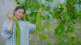 How to grow long beans to get unexpectedly high yields as a delicious dish