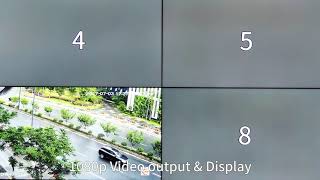 IP Matrix Switcher IP Decoder With 2ch HDMI Output