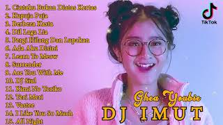 DJ IMUT [ Full Album 2020 ] DJ TIK TOK SANTUY TERBARU 2020 - Hits