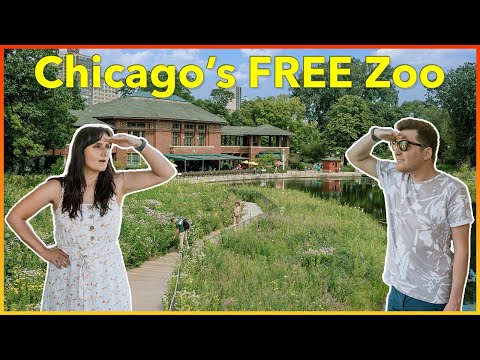Video: Ljus på Lincoln Park Zoo: Jul i Chicago