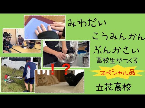 立花高校の出店紹介！