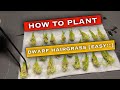 How To Plant Dwarf Hairgrass Tutorial