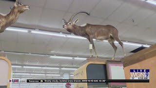 Around Town - Thrift & Dollar