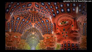 Tool  Vicarious drop C