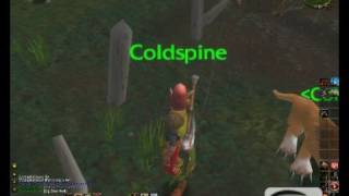 Wow gamecam test