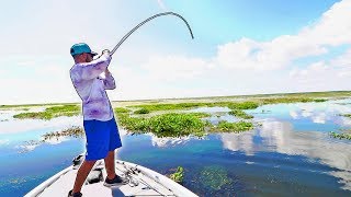 Fishing FROGS in THICK GRASS for FLORIDA GIANTS! (HUGE BASS)