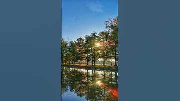 اللهم بك أصبحنا وبك أمسينا #دعاء #اذكار_الصباح #صباح_الخير