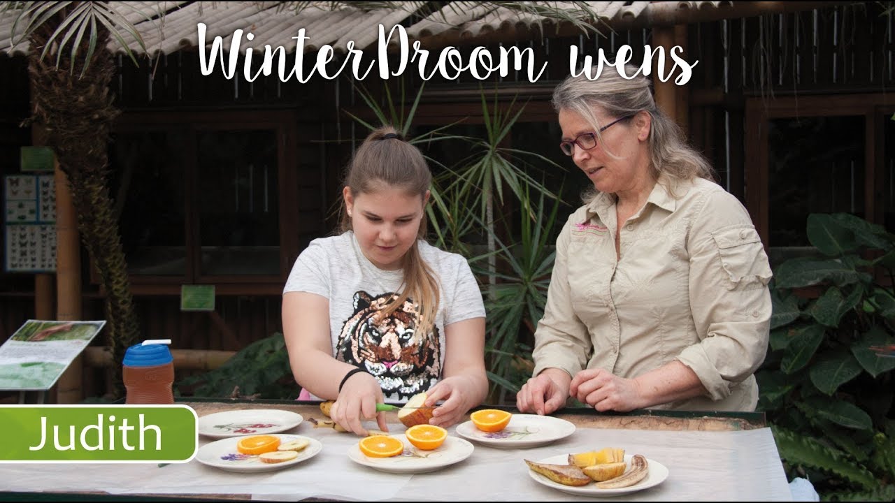 WinterDroom meelopen met dierverzorgster