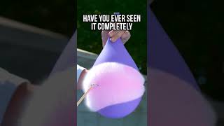 Slow Motion Water Balloon Pop