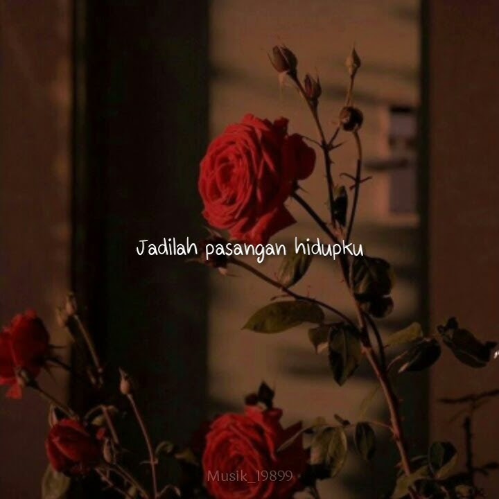 Badai romantic project - Melamarmu ( Cover Jihan audy ft. Wandra ) story wa