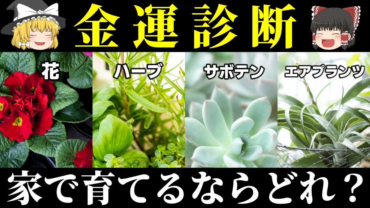 あなたの隠れ金運度は？一生お金に困らない金運の強さ診断【ゆっくり解説】