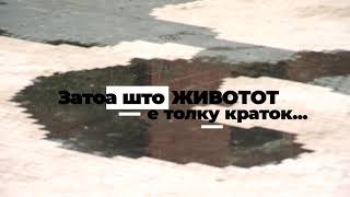 Fleksija Tizer Naskoro