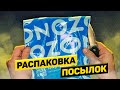 Распаковка посылок с Ozon, Wildberries, Яндекс Маркет, Aliexpress