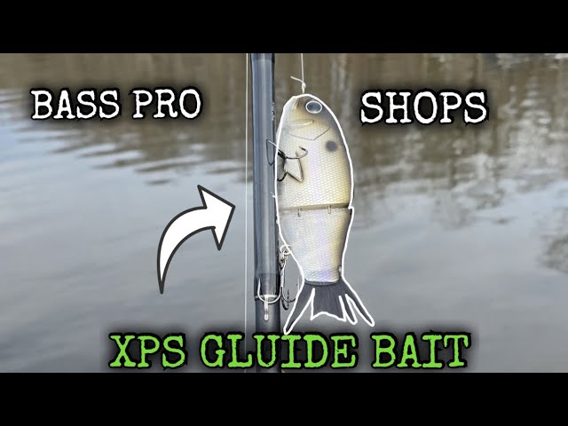 I Used The Bass Pro Shops XPS Swerve Glide Swimbait #gluidebait