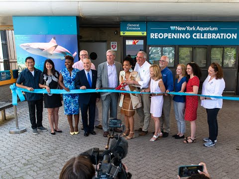 Video: Pet Scoop: New York Aquarium Reopens After Sandy, Hairball Big Tiger Removed