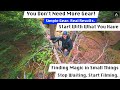 Macro Photography: Start Your Youtube Channel Today! Create with Simple Gear DJI Neo & DJI Action 5