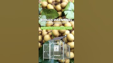 Smart Farming Technology: AI Insect Monitoring