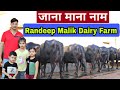 Quality के बादशाह - रणदीप मलिक || Top Quality Murrah Buffaloes || Only Quality Animals