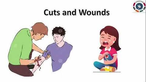 Class.4 : SCIENCE : Revision : Lesson.7 : Part.2