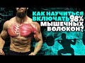 Нейромышечная связь (как развить?)