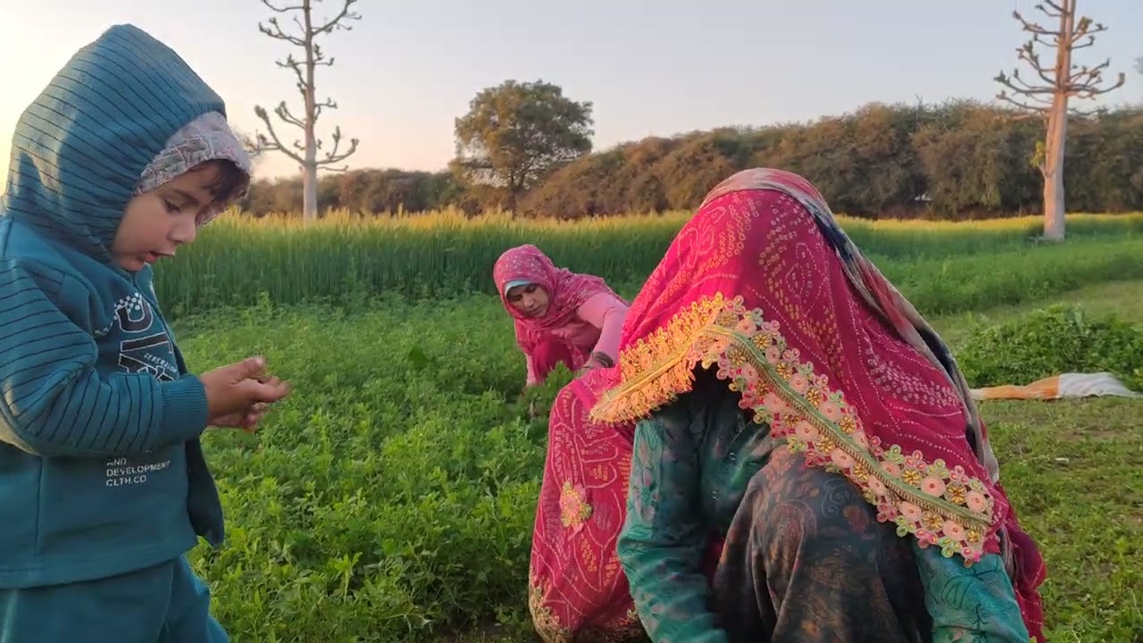 बारिश के कारण ठंड