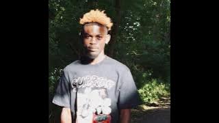 (Free) Benjamin Hugo joe X Mexikodro X stoopidxool type beat