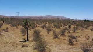 CASB6201N - 5 Acres - Apple Valley, CA