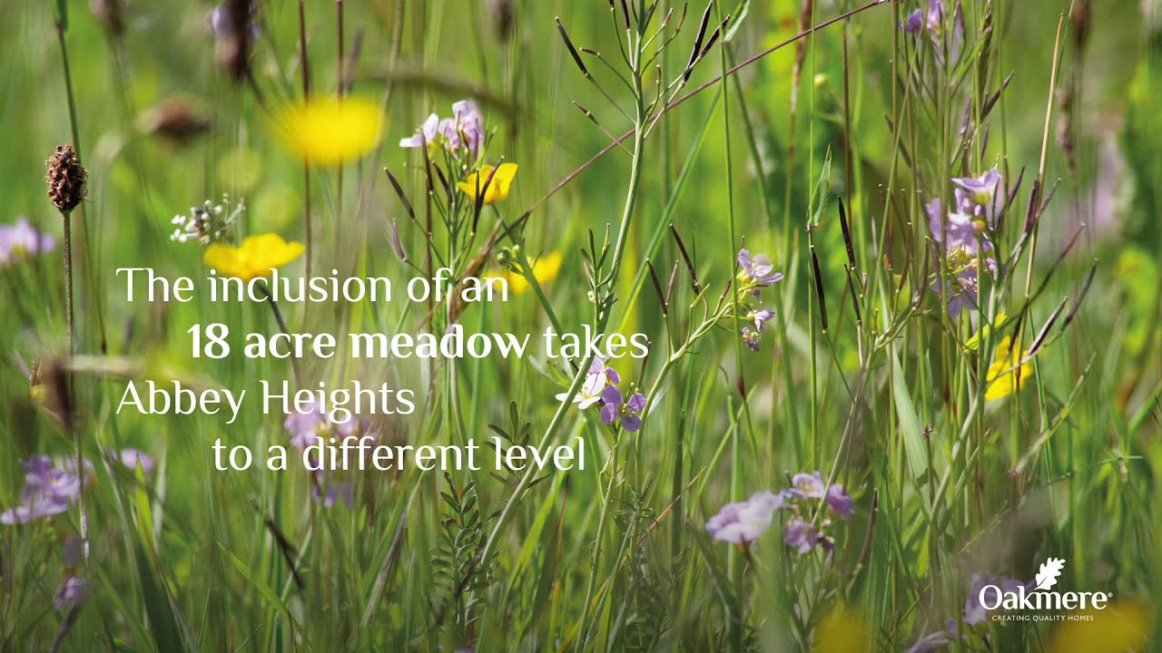 Abbey Heights, BarrowInFurness Experience life in a beautiful