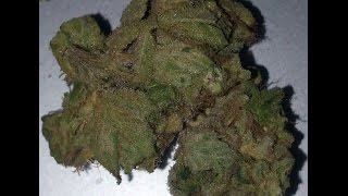 Purple Trainwreck by Alternative Solutions