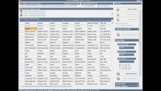 MTKLanguageEditor by Oxa