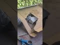 Furry DIY Update