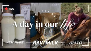 From Cow to Customer: Herdshare/Raw Milk Delivery Process