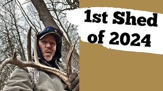 1st Shed Antler of 2024   Shed Hunting In Ohio