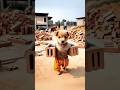 😱Puppy Hard Work ❤️‍🔥#shorts #shortsfeed #trendingshorts #youtubeshorts #viral #ai