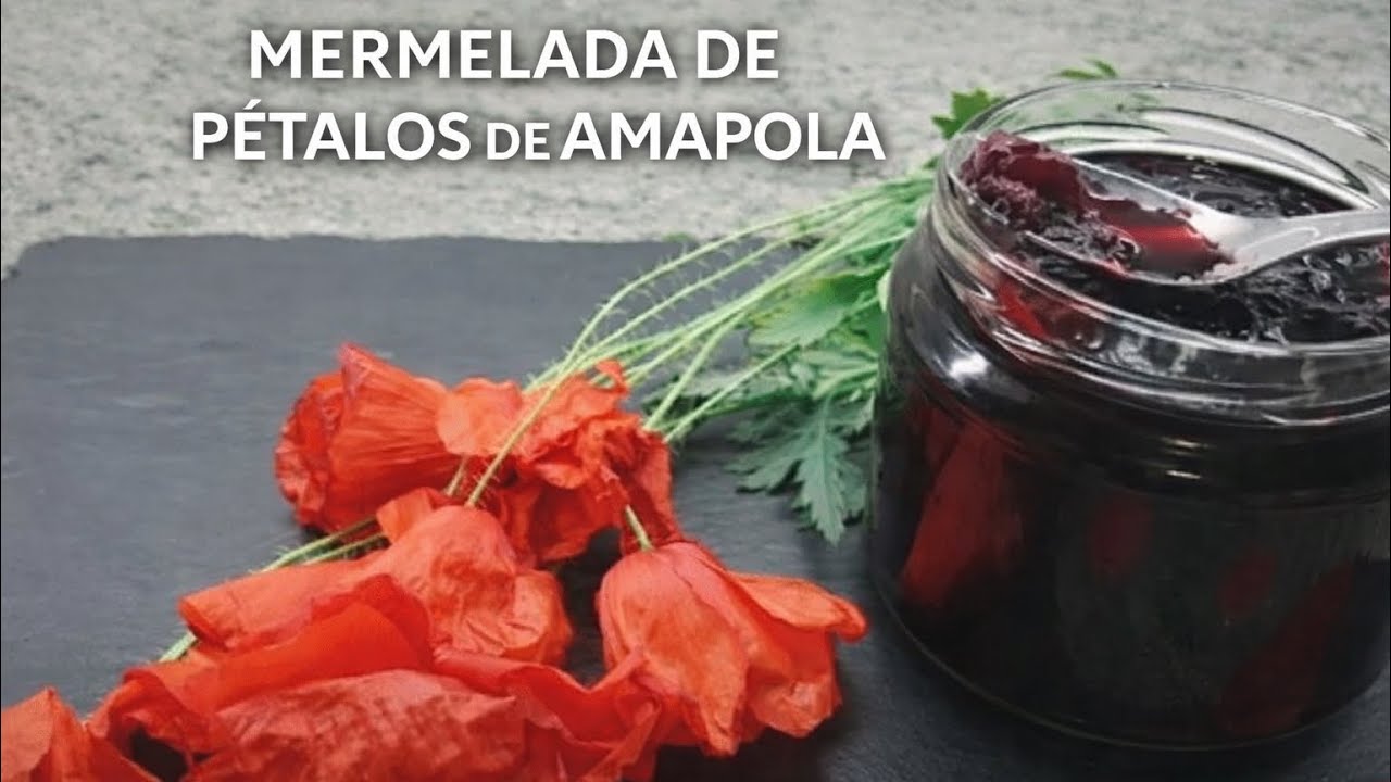 MERMELADA DE PÉTALOS DE AMAPOLA 🥀| NO LA HABÍAS VISTO NUNCA
