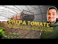 Tat des lieux des cultures sous abri et prparation de la premire serre  tomates 