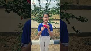 #hibiscus #school #dpsinternational #education #schoollife #kids #dps #students