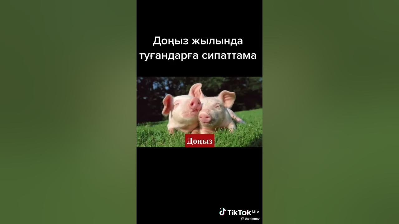 доныз - YouTube