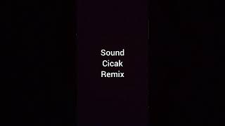 Suara Tokek Remix