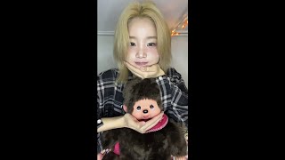몬치치 라이브 스트리밍 중