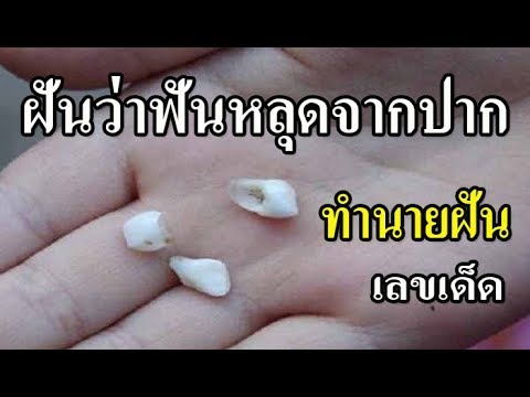 ฝันว่า ฟันหลุดจากปาก ทำนายความฝันออนไลน์ ทำนายฝันแม่น เลขเด็ดนำโชค