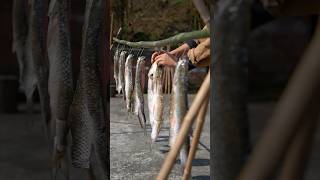 Traditional Fermented Fish Ancient Rural Preservation Method Authentic Countryside Cooking