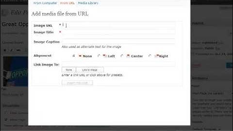 Lesson6, Using WordPress to Create a Recruiting Web Site
