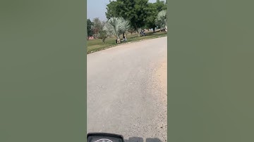 Gomal University Dera Ismail khan #foryou