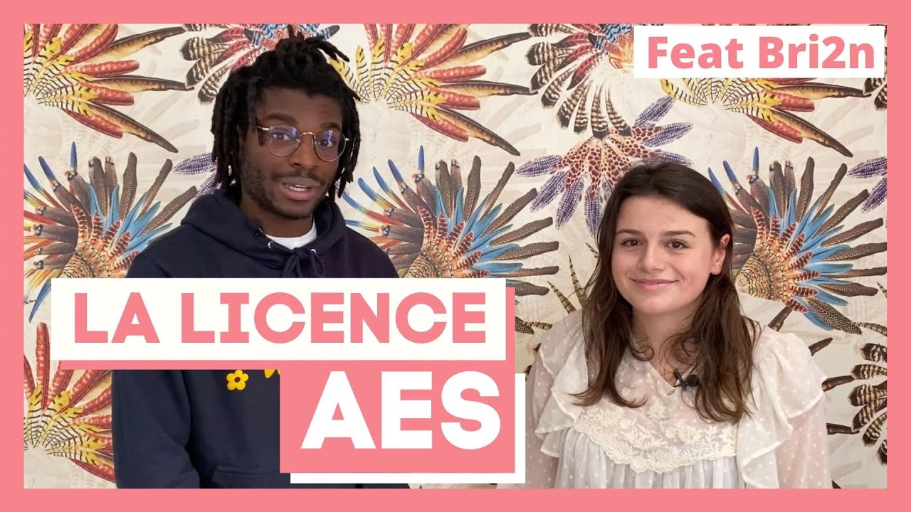 La Licence AES (Administration Économique et Sociale) - Thotis x  @Bri2n