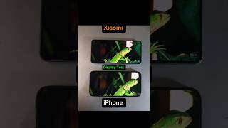 Xiaomi vs iPhone #shorts #viral #viralvideo #ytshorts