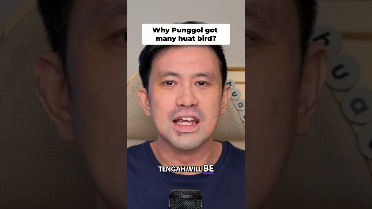 Are you one of the Huat bird? 