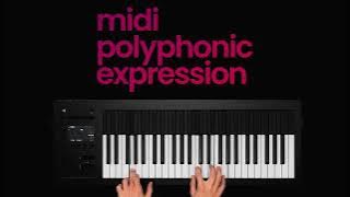 OSMOSE Next Gen Standalone Expressive Synthesizer. 4 booking or more info @  sbr digital 9831475205