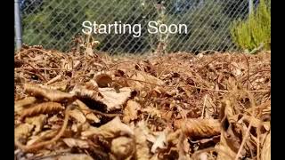 Eich Middle School Live Stream